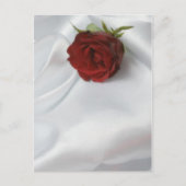 roos briefkaart (Voorkant)