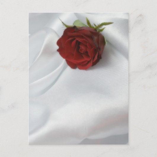 roos briefkaart (Voorkant)