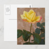 Roos Briefkaart (Voorkant / Achterkant)