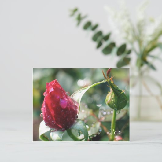 Roos Briefkaart (Staand voorkant)