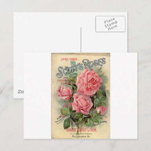  Roos Briefkaart (Voorkant / Achterkant)