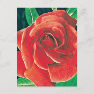 Roos Briefkaart door Jacob Grimm