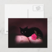 roos briefkaart van romantisch kattenboek (Voorkant / Achterkant)