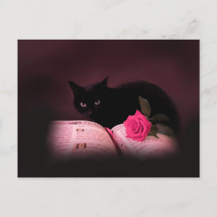 roos briefkaart van romantisch kattenboek