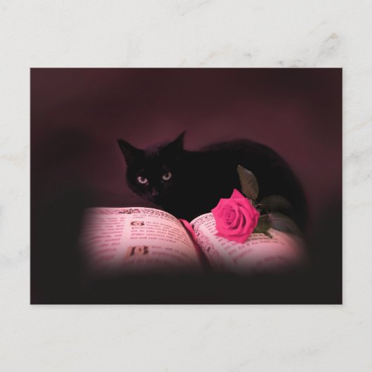 roos briefkaart van romantisch kattenboek (Voorkant)
