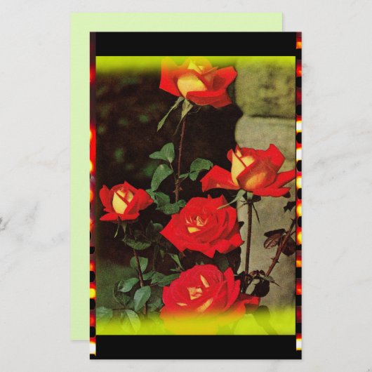  Roos Briefpapier (Voorkant / Achterkant)