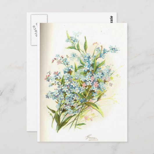 roos bril briefkaart (Voorkant / Achterkant)