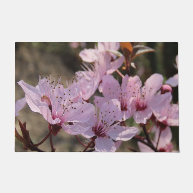 roos, bronbloemen, floristiek, bloemen, patroon, deurmat (Voorkant)