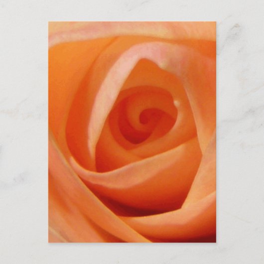 Roos Bud Briefkaart (Voorkant)