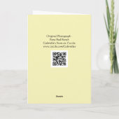 Roos Bud Bunch Art Note Kaart (Achterkant)