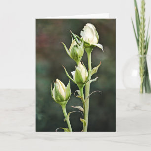 Roos Bud Bunch Art Note Kaart
