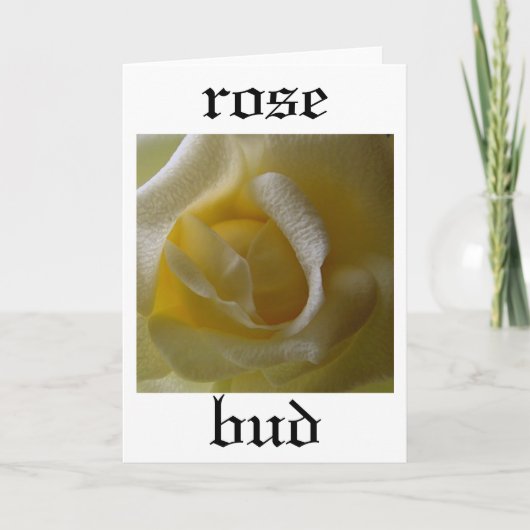 Roos Bud Kaart (Voorkant)