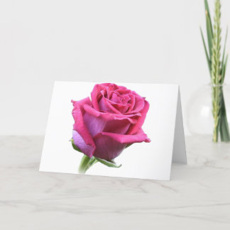 Roos Bud-kaart Roze Feestdagen Kaart