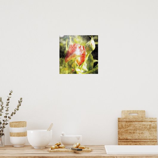 Roos Bud Poster (Keuken)