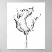 ROOS BUD POSTER (Voorkant)