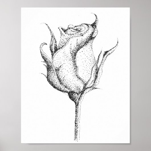 ROOS BUD POSTER (Voorkant)