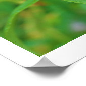 Roos Bud Rumi Quote Poster (Hoek)