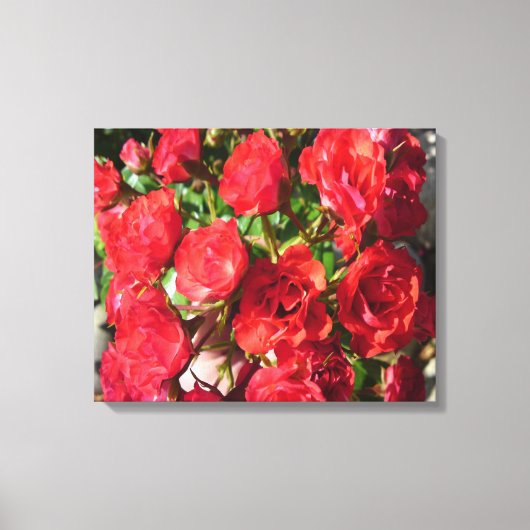 Roos bundel canvas afdruk (Voorkant)