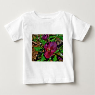 Roos Burgundy Pink Lenten