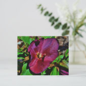 Roos Burgundy Pink Lenten Briefkaart (Staand voorkant)