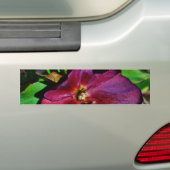 Roos Burgundy Pink Lenten Bumpersticker (Op auto)