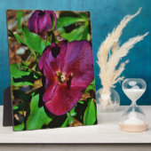 Roos Burgundy Pink Lenten Fotoplaat (Zijkant)