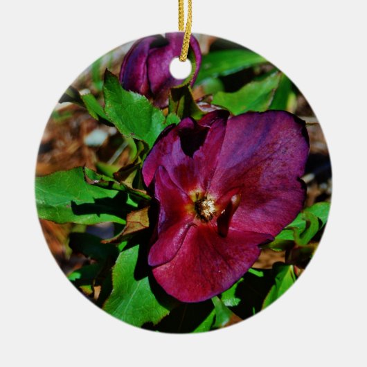 Roos Burgundy Pink Lenten Keramisch Ornament (Voorkant)