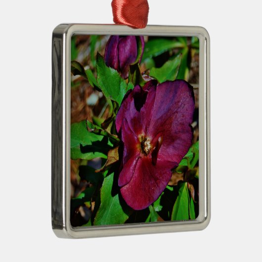 Roos Burgundy Pink Lenten Metalen Ornament (Rechts)