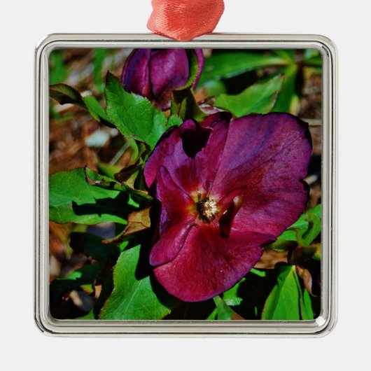 Roos Burgundy Pink Lenten Metalen Ornament (Voorkant)