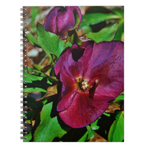 Roos Burgundy Pink Lenten Notitieboek