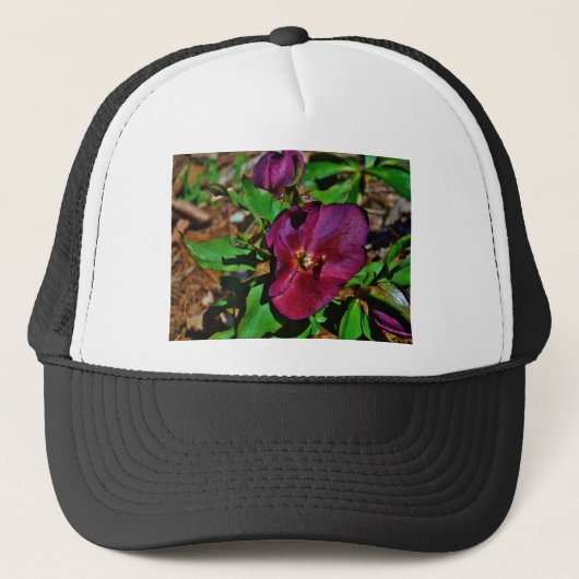 Roos Burgundy Pink Lenten Trucker Pet (Voorkant)