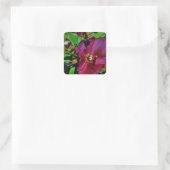 Roos Burgundy Pink Lenten Vierkante Sticker (Tas)