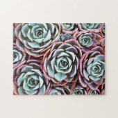 Roos-cactus met een zuinig , foto 11 x 14 legpuzzel (Horizontaal)