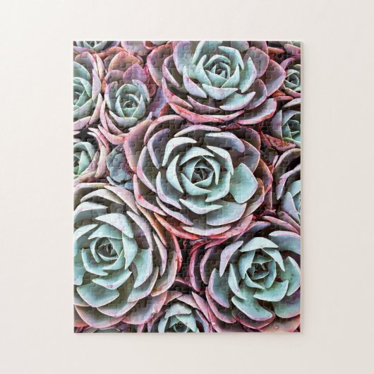 Roos-cactus met een zuinig , foto 11 x 14 legpuzzel (Verticaal)