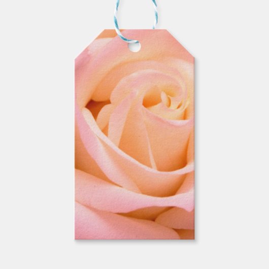 Roos cadeaukaart cadeaulabel (Voorkant)
