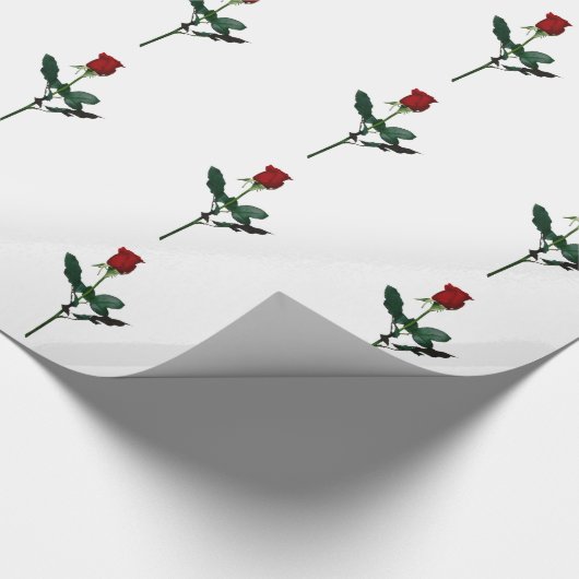 ROOS CADEAUPAPIER (Hoek)