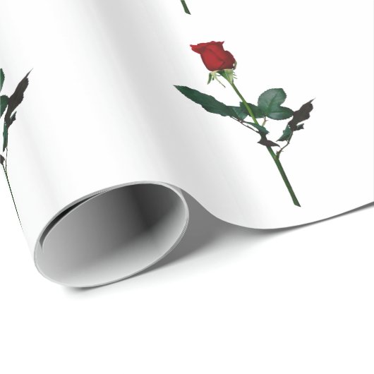 ROOS CADEAUPAPIER (Rol Hoek)