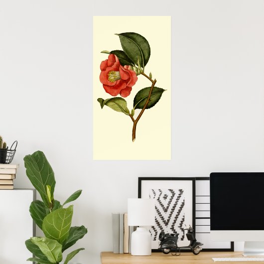 Roos Camellia Poster (Thuiskantoor)