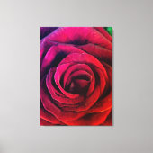 Roos Canvas Afdruk (Voorkant)