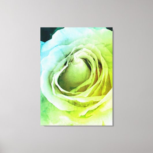 Roos Canvas Afdruk (Voorkant)