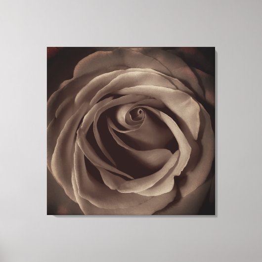  Roos Canvas Afdruk (Voorkant)