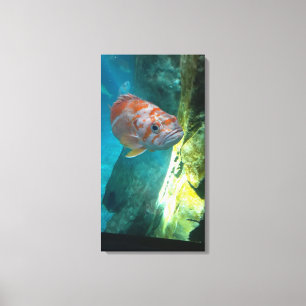 Roos Canvas Afdruk