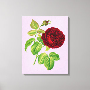 Roos Canvas Afdruk