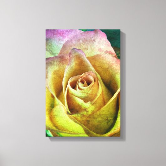 Roos Canvas Art Afdruk (Voorkant)