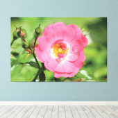 Roos Canvas Natural Pink Afdruk (Insitu (Houten vloer))