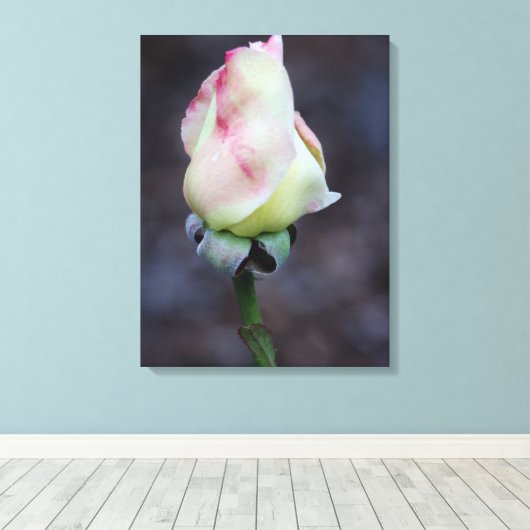 Roos canvas omloop afdruk (Insitu (Houten vloer))