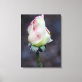 Roos canvas omloop afdruk (Voorkant)