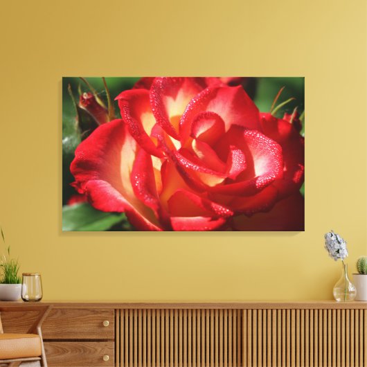 Roos canvas omloop afdruk (Insitu (Woonkamer))