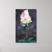 Roos canvas omloop afdruk (Voorkant)
