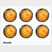 Roos Classic Ronde Sticker, Glanzend Sticker (Vel)